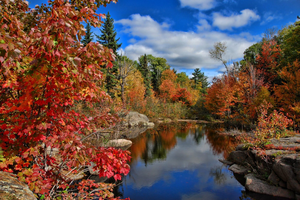 Enjoy the Great Outdoors: Fall Activities on a Budget